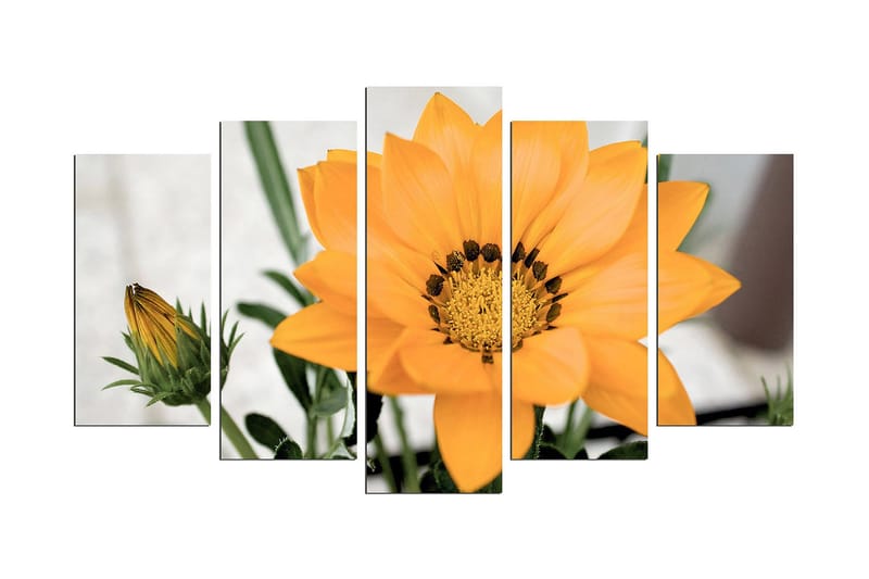 Dekorativ MDF-bilde 5 Deler - Flerfarget - Interiør - Maleri & posters - Lerretsbilder