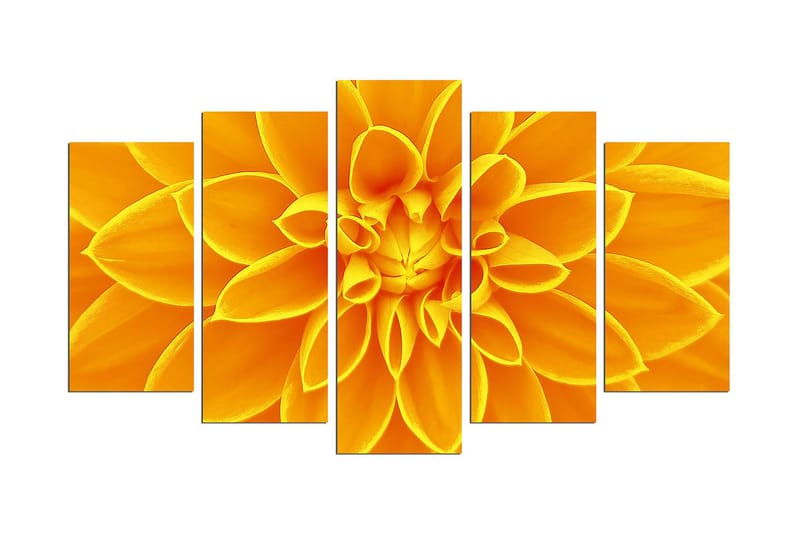 Dekorativ MDF-bilde 5 Deler - Flerfarget - Interiør - Maleri & posters - Lerretsbilder