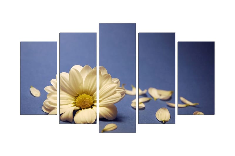 Dekorativ MDF-bilde 5 Deler - Flerfarget - Interiør - Maleri & posters - Lerretsbilder