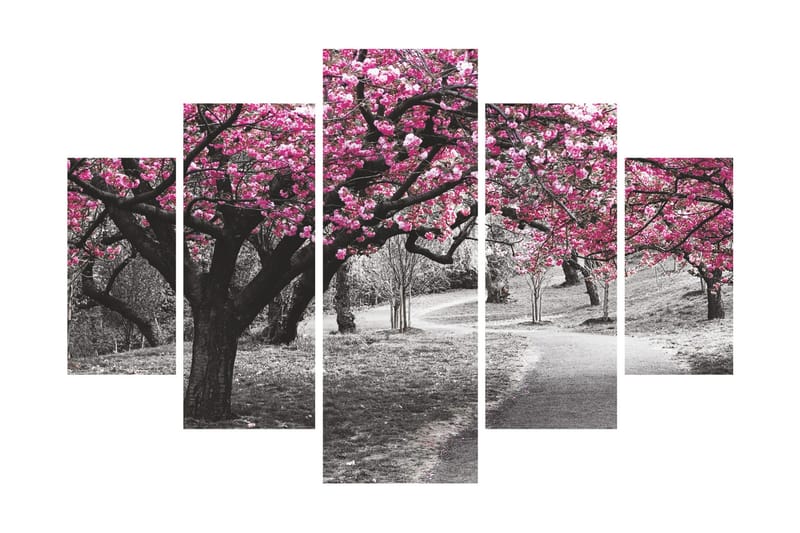 Dekorativ MDF-bilde 5 Deler, Flerfarget