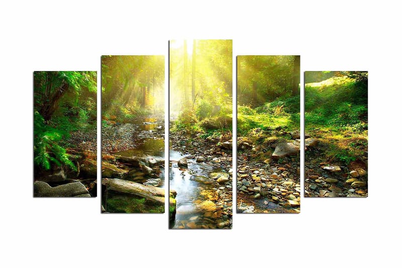 Dekorativ MDF-bilde 5 Deler - Flerfarget - Interiør - Maleri & posters - Lerretsbilder