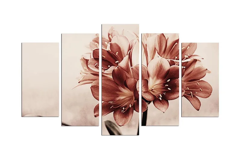 Dekorativ MDF-bilde 5 Deler, Flerfarget