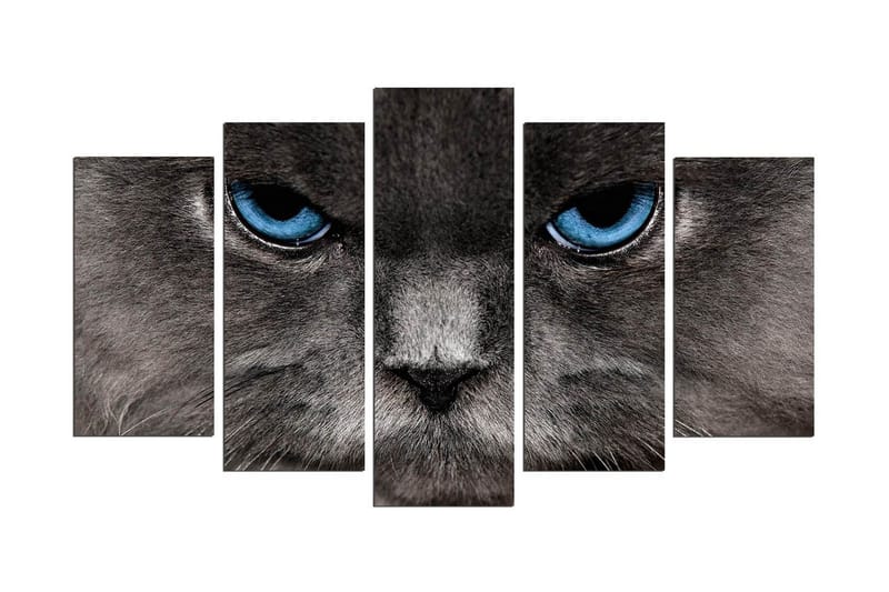 Dekorativ MDF-bilde 5 Deler - Flerfarget - Interiør - Maleri & posters - Lerretsbilder