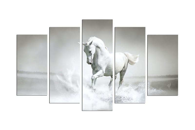 Dekorativ MDF-bilde 5 Deler, Flerfarget