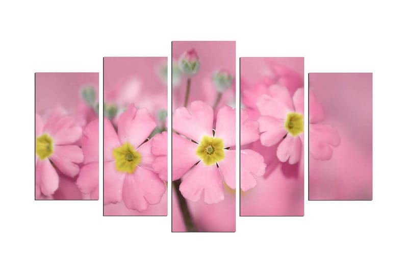 Dekorativ MDF-bilde 5 Deler - Flerfarget - Interiør - Maleri & posters - Lerretsbilder