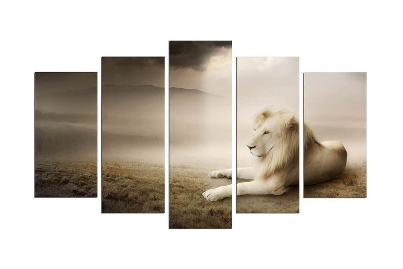 Dekorativ MDF-bilde 5 Deler - Flerfarget - Interiør - Maleri & posters - Lerretsbilder