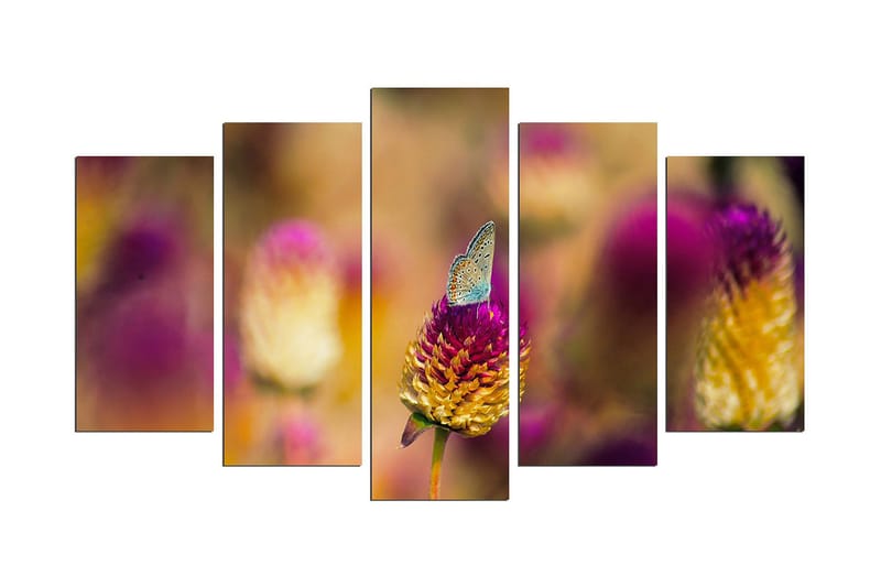 Dekorativ MDF-bilde 5 Deler - Flerfarget - Interiør - Maleri & posters - Lerretsbilder