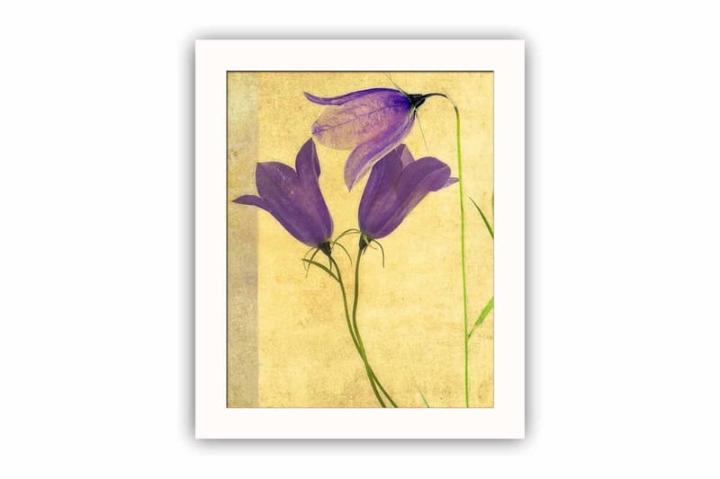 Dekorativ MDF-bilde, Flerfarget