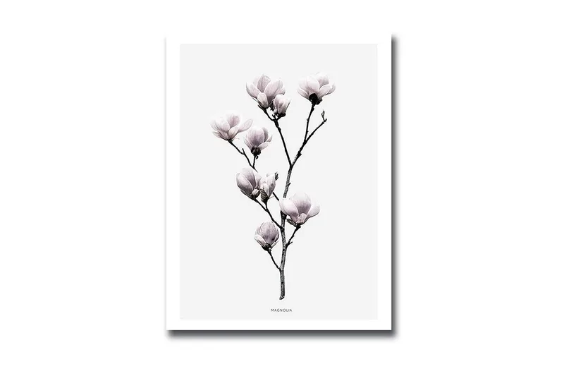 Dekorativ MDF-bilde, Flerfarget