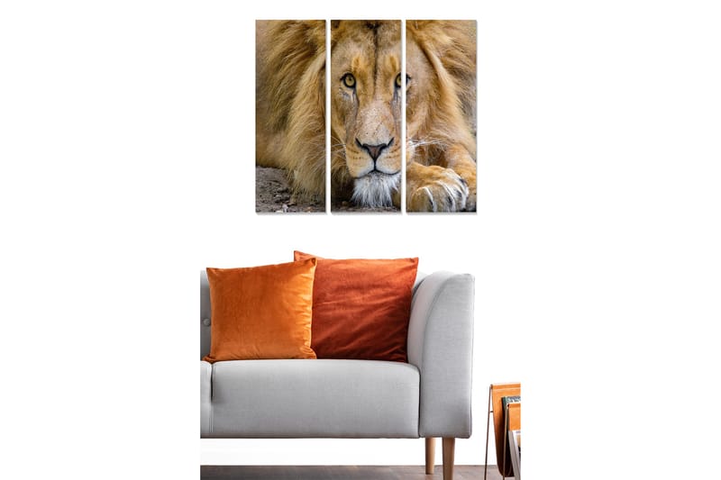 Dekorativ MDF-maling 3-Deler 20x50 cm - Flerfarget - Interiør - Maleri & posters - Lerretsbilder