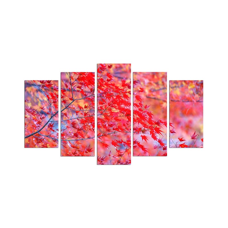 Dekorativ MDF-maling 5-Deler 20x60 cm - Flerfarget - Interiør - Maleri & posters - Lerretsbilder