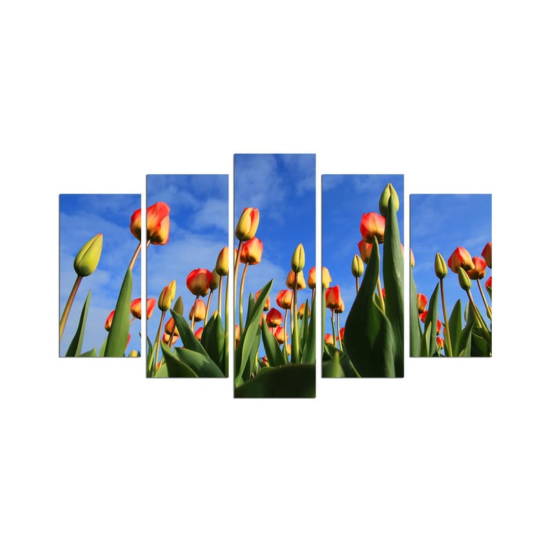 Dekorativ MDF-maling 5-Deler 20x60 cm - Flerfarget - Interiør - Maleri & posters - Lerretsbilder