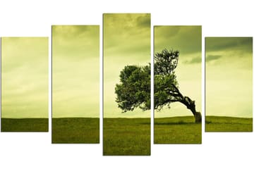 Dekorativ MDF-maling 5-Deler 20x60 cm - Flerfarget - Interiør - Maleri & posters - Lerretsbilder