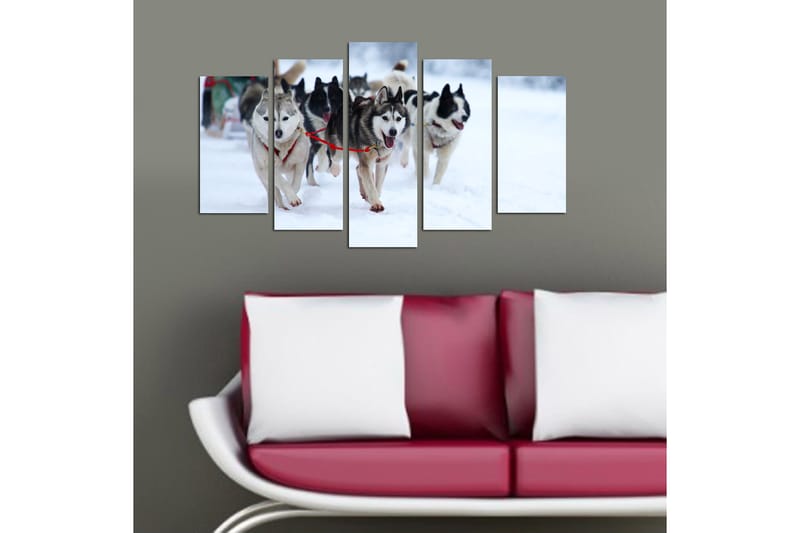 Dekorativ MDF-maling 5-Deler 20x60 cm - Flerfarget - Interiør - Maleri & posters - Lerretsbilder