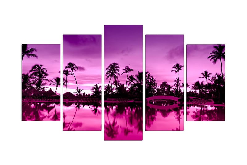 Dekorativ MDF-maling 5-Deler 20x60 cm, Flerfarget