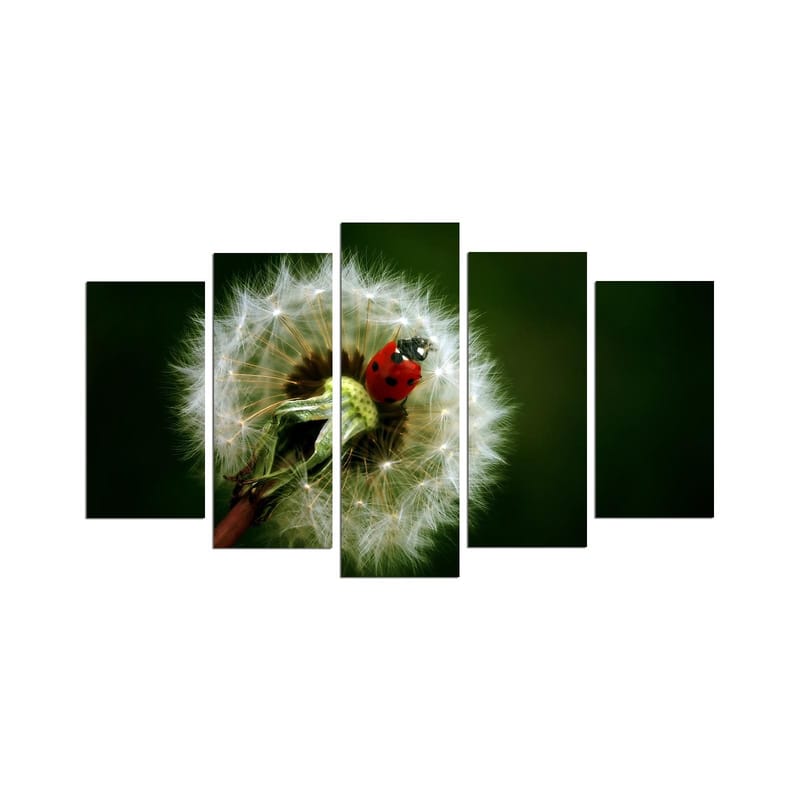 Dekorativ MDF-maling 5-Deler 20x60 cm, Flerfarget