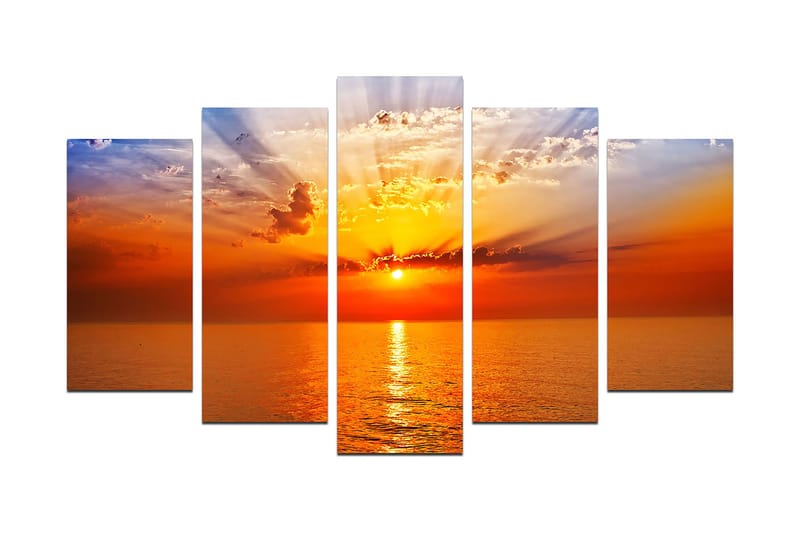 Dekorativ MDF-maling 5-Deler 20x60 cm, Flerfarget