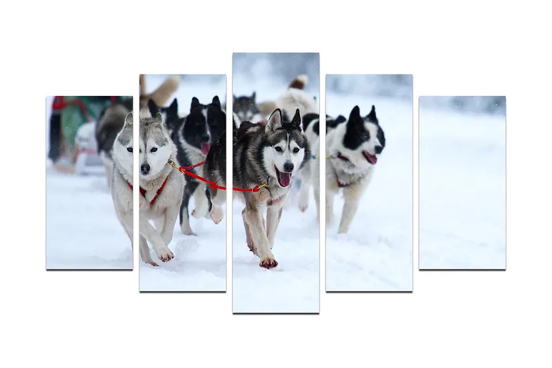 Dekorativ MDF-maling 5-Deler 20x60 cm, Flerfarget