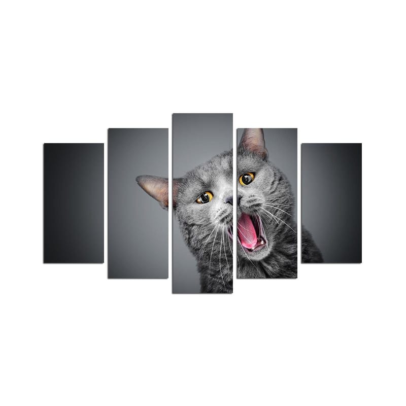 Dekorativ MDF-maling 5-Deler 20x60 cm, Flerfarget