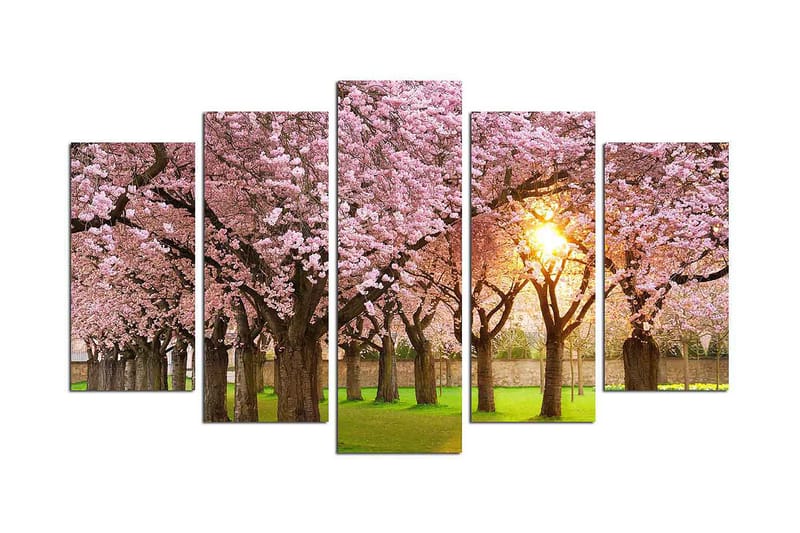 Dekorativ MDF-maling 5-Deler 20x60 cm, Flerfarget