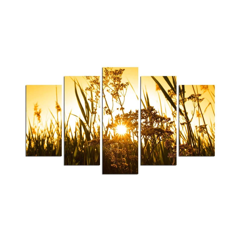 Dekorativ MDF-maling 5-Deler 20x60 cm, Flerfarget