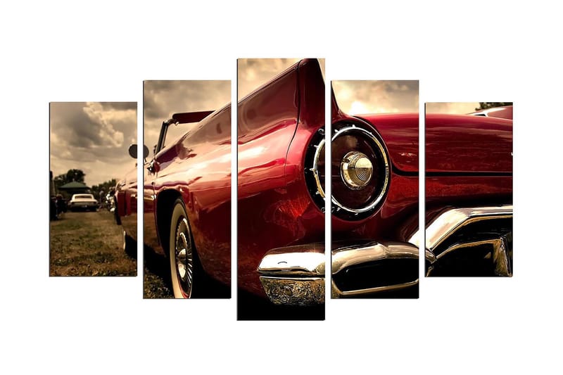 Dekorativ MDF-maling 5-Deler 20x60 cm, Flerfarget