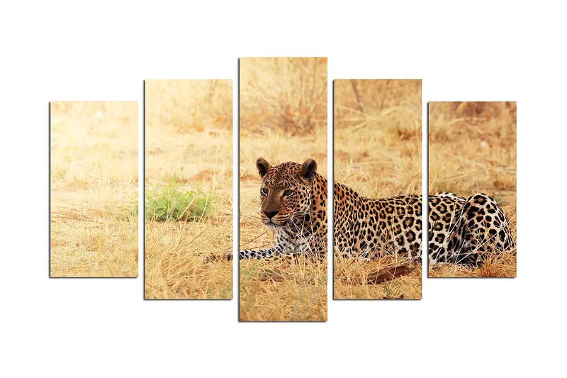 Dekorativ MDF-maling 5-Deler 20x60 cm, Flerfarget