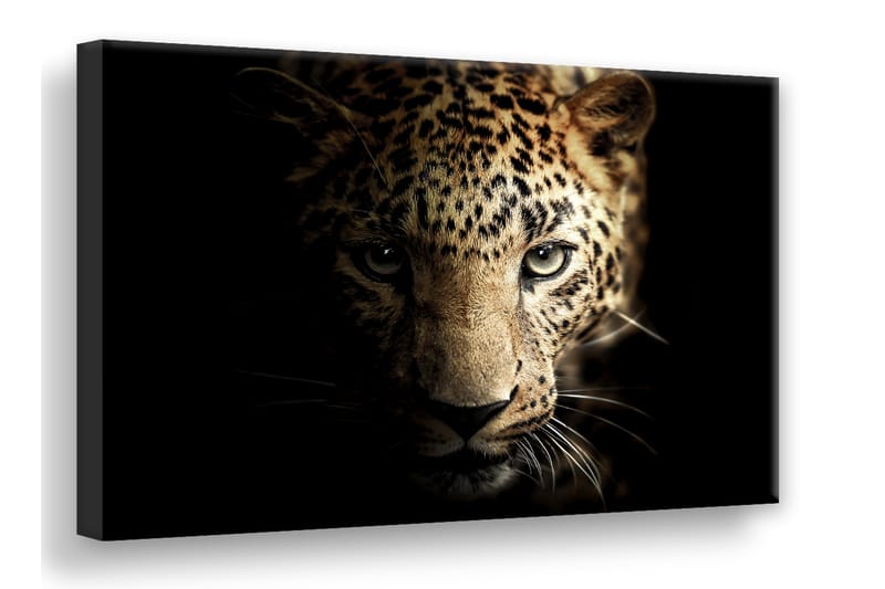 Digitalprintet Bilde Leopard Lerret - Svart - Lerretsbilder