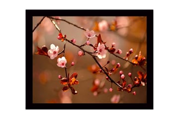 Innrammet lerret i tre - 41x56 cm - Blomstrende kirsebærgrener i myke nyanser - Rosa / Brun / Grønn - Interiør - Maleri & posters - Lerretsbilder