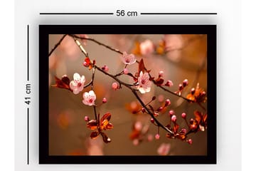 Innrammet lerret i tre - 41x56 cm - Blomstrende kirsebærgrener i myke nyanser - Rosa / Brun / Grønn - Interiør - Maleri & posters - Lerretsbilder