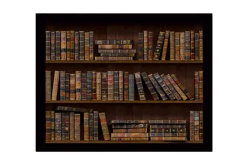 Innrammet lerret i tre - 41x56 cm - Detaljert bokhylle med gamle bøker i varierende farger og størrelser - Brun / Beige / Svart - Interiør - Maleri & posters - Lerretsbilder