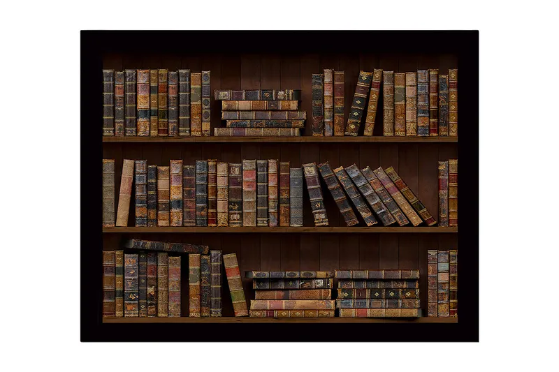 Innrammet lerret i tre - 41x56 cm - Detaljert bokhylle med gamle bøker i varierende farger og størrelser, Brun / Beige / Svart
