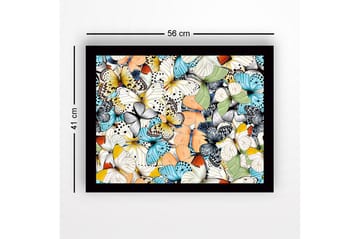 Innrammet lerret i tre - 41x56 cm - Fargerik samling av sommerfugler - Blå / Hvit / Oransje - Interiør - Maleri & posters - Lerretsbilder