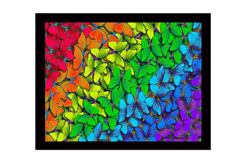 Innrammet lerret i tre - 41x56 cm - Fargerik samling av sommerfugler i forskjellige nyanser, Grønn / Blå / Rød
