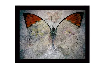 Innrammet lerret i tre - 41x56 cm - Fargerik sommerfugl med blomstermotiv - Oransje / Lys grå / Grønn - Interiør - Maleri & posters - Lerretsbilder