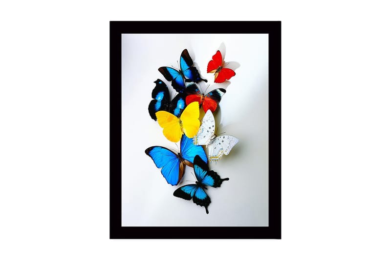 Innrammet lerret i tre - 41x56 cm - Fargerike sommerfugler i en dynamisk komposisjon, Blå / Gul / Rød