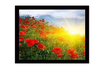 Innrammet lerret i tre - 41x56 cm - Felt med røde valmuer i soloppgangens lys - Rød / Grønn / Gul - Interiør - Maleri & posters - Lerretsbilder