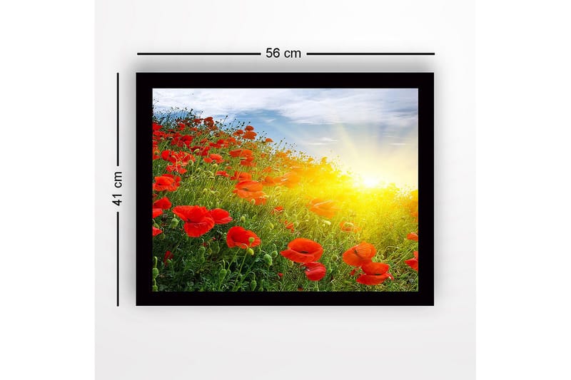 Innrammet lerret i tre - 41x56 cm - Felt med røde valmuer i soloppgangens lys - Rød / Grønn / Gul - Interiør - Maleri & posters - Lerretsbilder