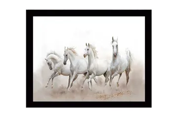 Innrammet lerret i tre - 41x56 cm - Fire hvite hester i bevegelse - Hvit / Lys grå - Interiør - Maleri & posters - Lerretsbilder