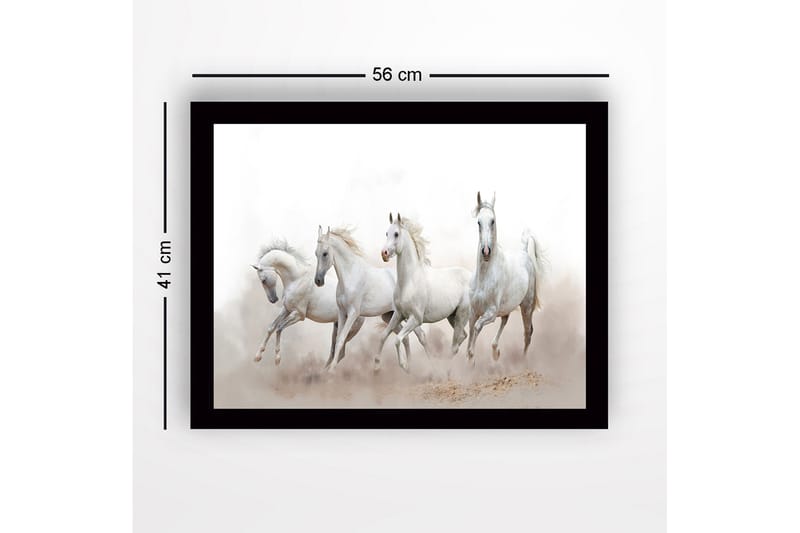 Innrammet lerret i tre - 41x56 cm - Fire hvite hester i bevegelse - Hvit / Lys grå - Interiør - Maleri & posters - Lerretsbilder