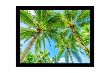 Innrammet lerret i tre - 41x56 cm - Høye palmer mot en klar blå himmel - Grønn / Blå - Interiør - Maleri & posters - Lerretsbilder
