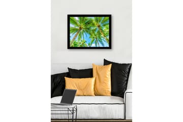Innrammet lerret i tre - 41x56 cm - Høye palmer mot en klar blå himmel - Grønn / Blå - Interiør - Maleri & posters - Lerretsbilder