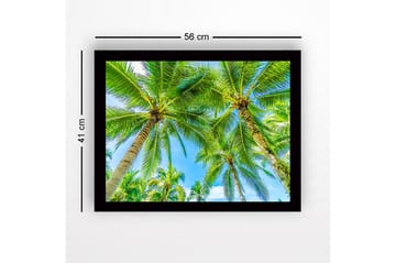 Innrammet lerret i tre - 41x56 cm - Høye palmer mot en klar blå himmel - Grønn / Blå - Interiør - Maleri & posters - Lerretsbilder
