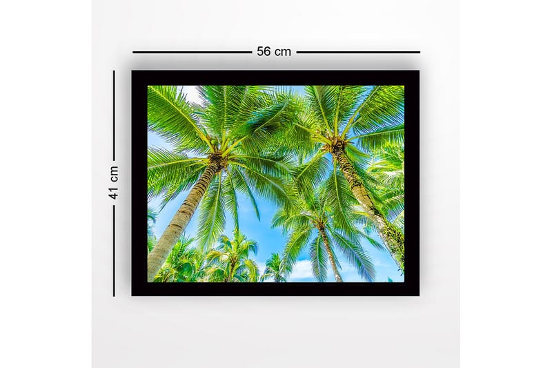 Innrammet lerret i tre - 41x56 cm - Høye palmer mot en klar blå himmel - Grønn / Blå - Interiør - Maleri & posters - Lerretsbilder