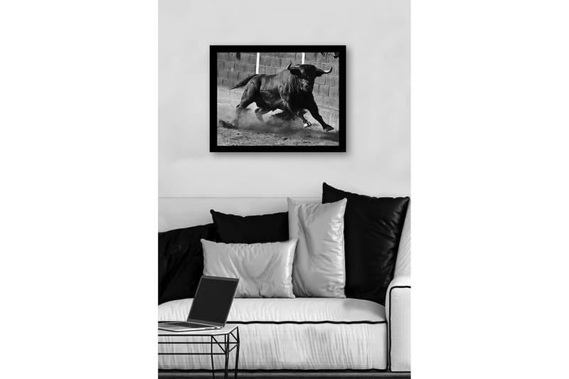 Innrammet lerret i tre - 41x56 cm - Kraftig okse i bevegelse - Svart / Grå - Interiør - Maleri & posters - Lerretsbilder