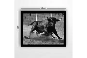 Innrammet lerret i tre - 41x56 cm - Kraftig okse i bevegelse - Svart / Grå - Interiør - Maleri & posters - Lerretsbilder