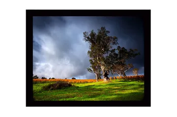 Innrammet lerret i tre - 41x56 cm - Staselig eik i dramatisk landskapssetting - Mørk grønn / Grå / Oransje - Interiør - Maleri & posters - Lerretsbilder
