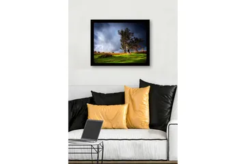Innrammet lerret i tre - 41x56 cm - Staselig eik i dramatisk landskapssetting - Mørk grønn / Grå / Oransje - Interiør - Maleri & posters - Lerretsbilder