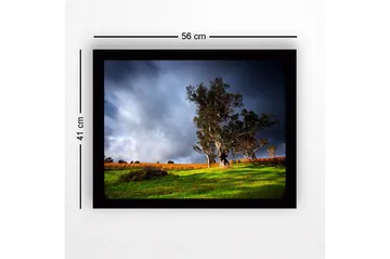 Innrammet lerret i tre - 41x56 cm - Staselig eik i dramatisk landskapssetting - Mørk grønn / Grå / Oransje - Interiør - Maleri & posters - Lerretsbilder