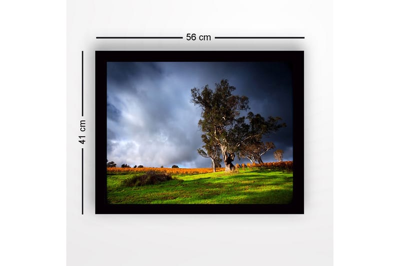 Innrammet lerret i tre - 41x56 cm - Staselig eik i dramatisk landskapssetting - Mørk grønn / Grå / Oransje - Interiør - Maleri & posters - Lerretsbilder